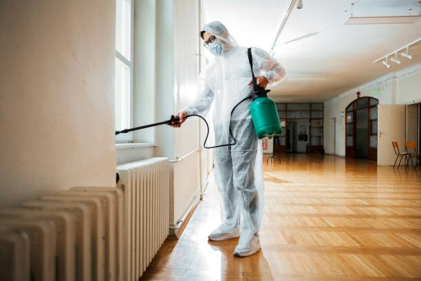 Emergency Pest Control Services in Olean, NY